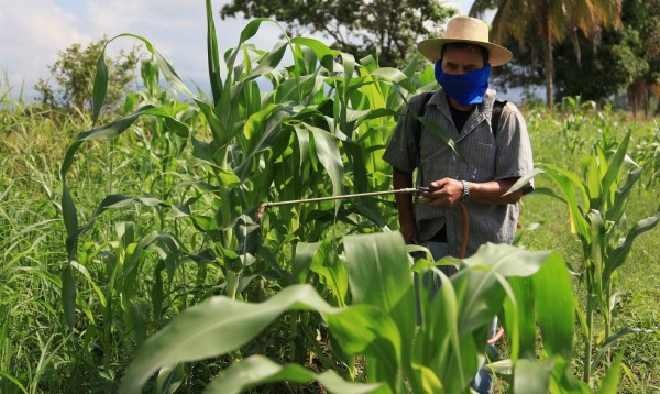 En foro discutirán desafíos del sector agroalimentario