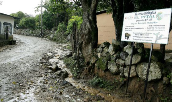 Reserva El Pital, bajo presión salvadoreña