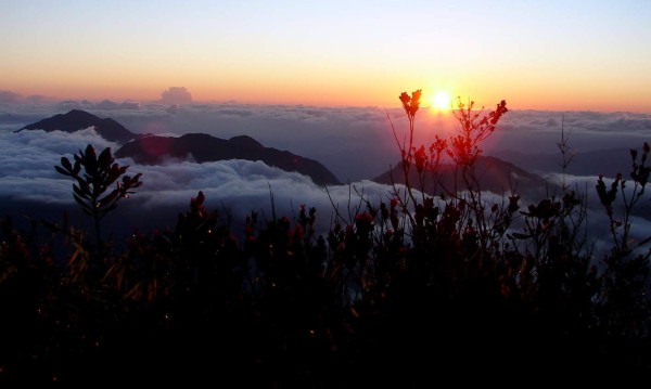 La Ceiba presume sus siete atractivos turísticos