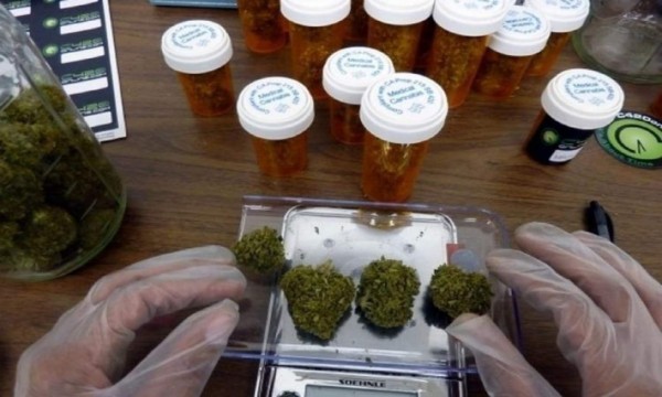 En Florida aprueba uso medicinal de marihuana en las aulas