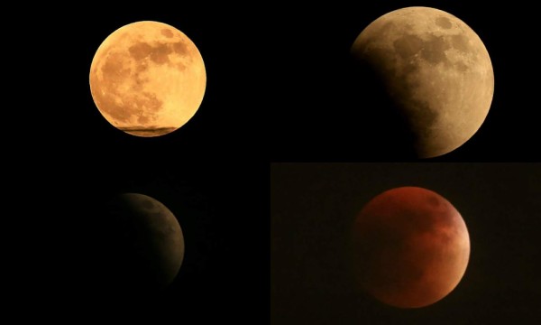 Siga en vivo la transmisión de la luna de sangre y eclipse lunar