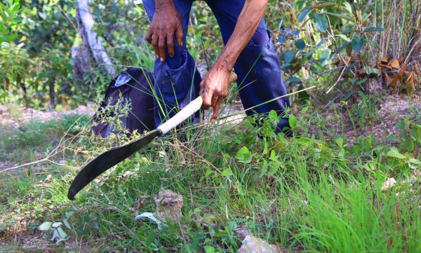 Tambla, la cuna de los machetes