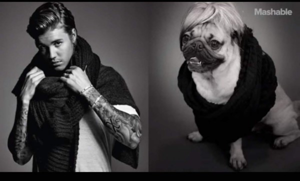 Perro recrea los looks de Justin Bieber