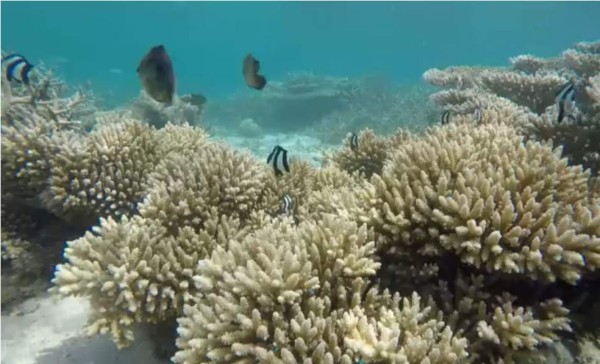 El cambio climático acorrala Isla Mauricio