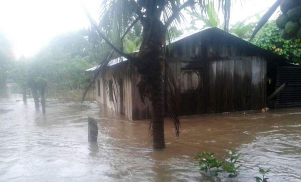 Tela está en alerta roja por fuertes lluvias  