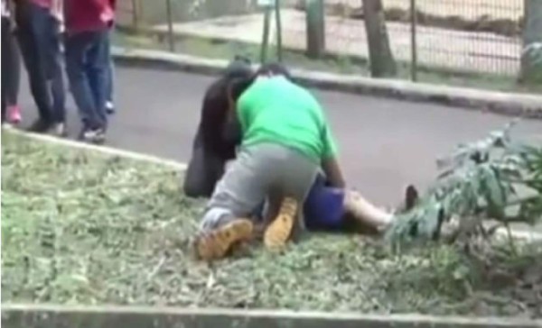 Video muestra como un tigre ataca a un niño de 11 años