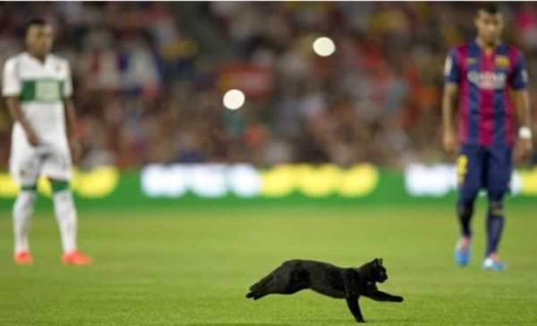 Video: El día después del gato negro en el Camp Nou