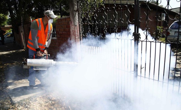 Fumigan más de 20,000 casas en el sector de la Rivera Hernández