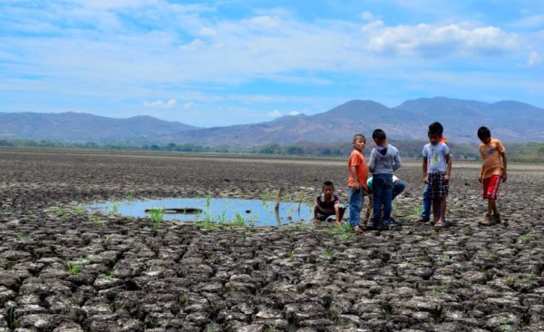 Cambio climático hace estragos en corredor seco de Centroamérica