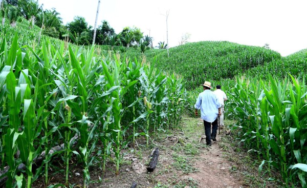 Cargill apoya a más de 3,000 productores de maíz y frijol en su lucha contra la sequía