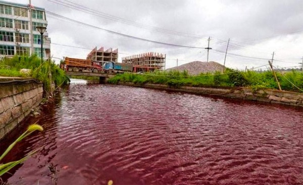 ¿Por qué se vuelven color sangre los ríos en China?