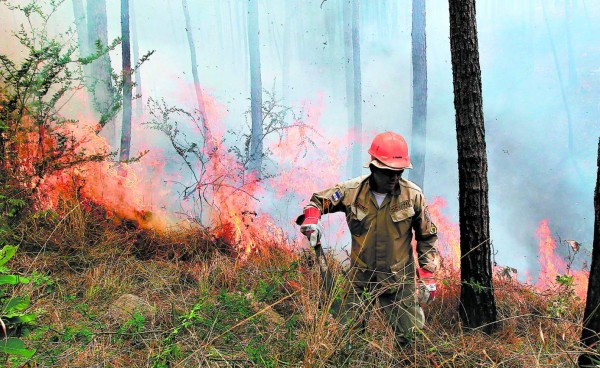 Fuego destruyó más de 60,000 hectáreas de bosque en Honduras