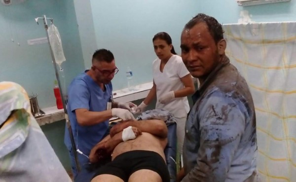 Cinco empleados de EEH son atacados por abejas en Comayagua