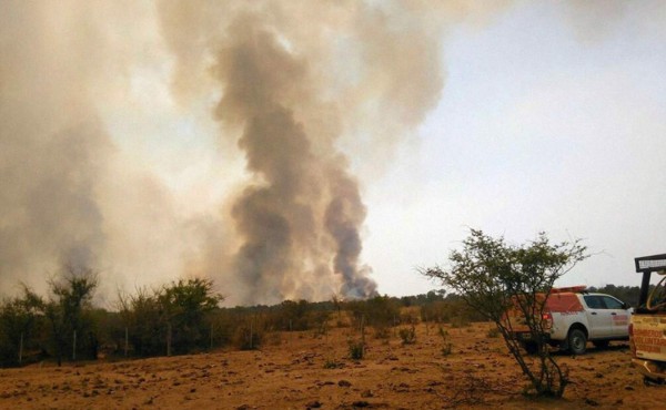 Prenden fuego para un asado y se queman 1.000 hectáreas en Argentina