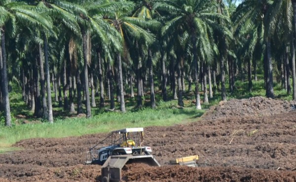 Biosa será la primera planta que producirá vitaminas en AL