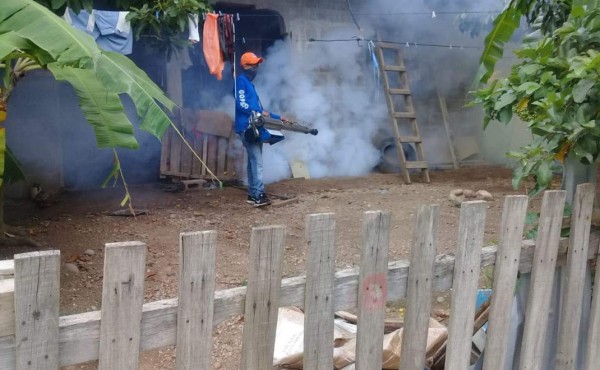Repuntan los casos de dengue en Cortés