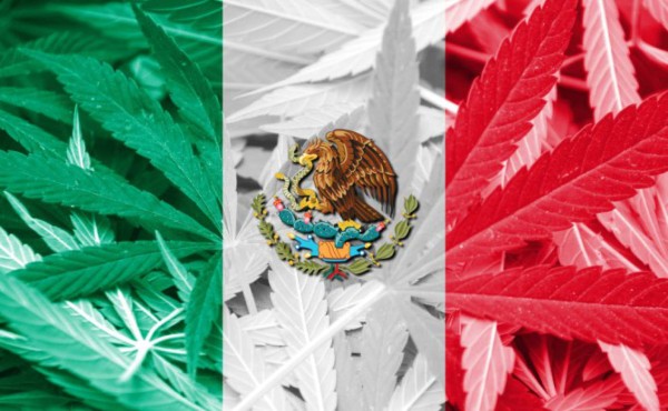 México aprueba el uso medicinal de la marihuana