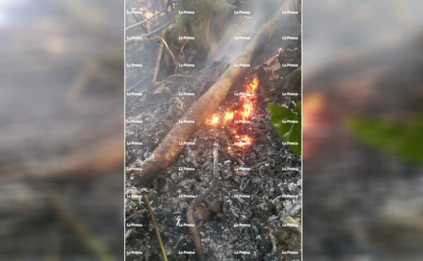 Confirman que humo blanco en Pico Bonito no es volcánico