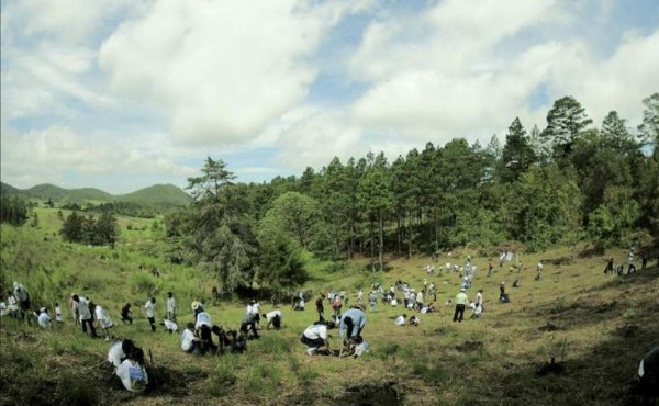 Honduras buscará alianzas en la COP25 para la acción climática   