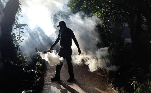 Un ‘callejón sin salida’ en la lucha contra el zika