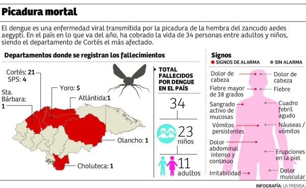 El 67% de los muertos por dengue son niños menores de 10 años