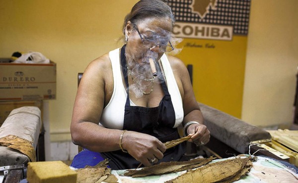 El cigarro cubano corre contra el reloj