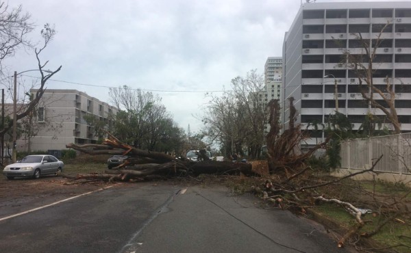 Tormenta tropical Ofelia amenaza con convertirse en huracán mañana