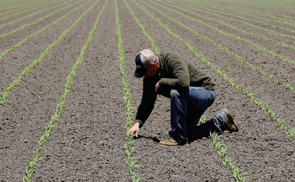 La unión de Monsanto y Syngenta siembra temores