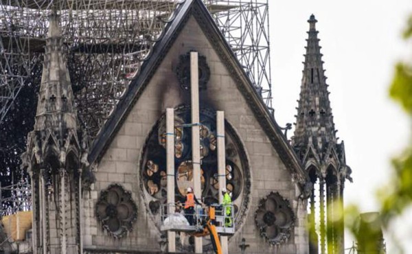 Las abejas de Notre Dame se salvaron del incendio