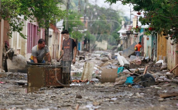 Hondureños en EEUU enviarán alimentos y ropa a damnificados de Eta e Iota