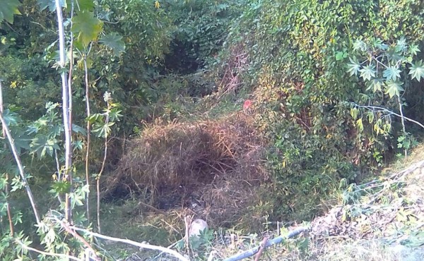 Hallan cadáver descompuesto de una mujer en Siguatepeque