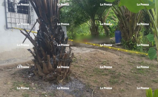 Hombres con chalecos de la DPI asesinan a tres jóvenes en Puerto Cortés