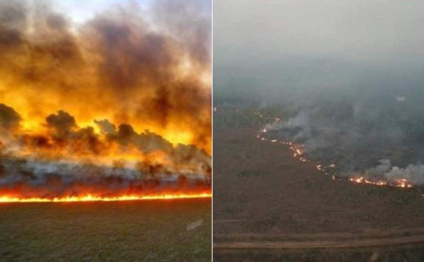 Fotos engañosas sobre los incendios que arrasan la Amazonia