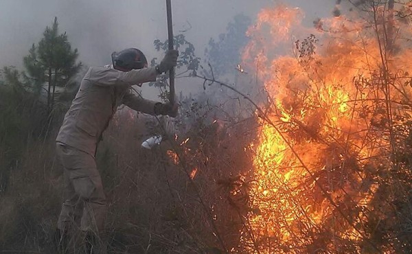 Un miembro de los bomberos trata de apagar el incendio que amenazó con quemar un restaurante también.