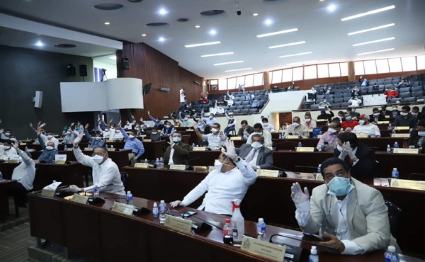 Diputados mayores de 60 años y con enfermedades de base, los ausentes en el Congreso Nacional