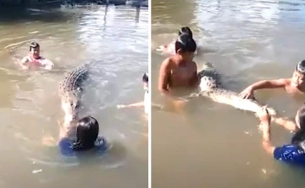 Video viral: Niños nadan y juegan con un enorme cocodrilo