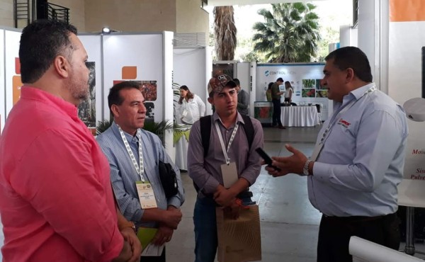 Palmicultores hondureños comparten experiencias en Colombia