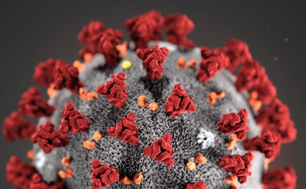 Dermatólogos alertan sobre manifestaciones cutáneas asociadas al coronavirus