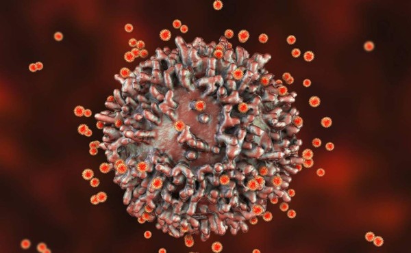 Estudio muestra que incluso enfermos leves de covid-19 podrían desarrollar inmunidad