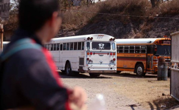 Por extorsión paralizan transporte público de Ojojona