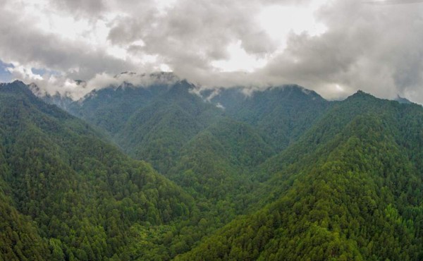 Desaparece montañista en el Parque Nacional Celaque