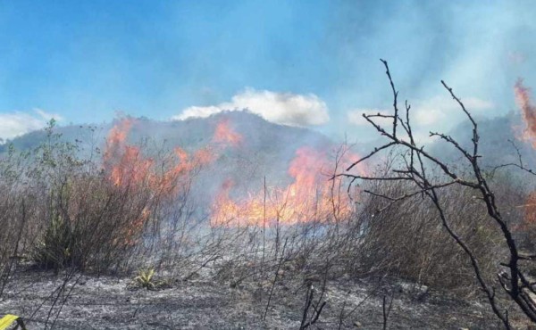 Reportan incendio en el bosque de El Picacho en Tegucigalpa