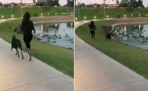 Mujer sufre espantosa caída mientras corría junto a su perro