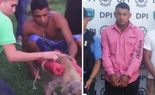 Capturan a militar que hizo explotar a perro con mortero en Yoro