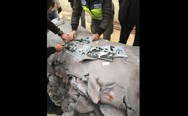 Incautan 510 kilos de cocaína en pieles de bovino en España