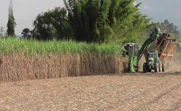 Gobierno argentino sube impuestos a las exportaciones agrícolas