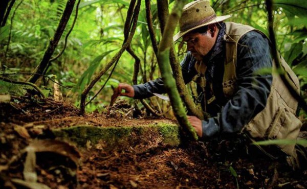 Así se vio la Ciudad Perdida de Honduras en NatGeo