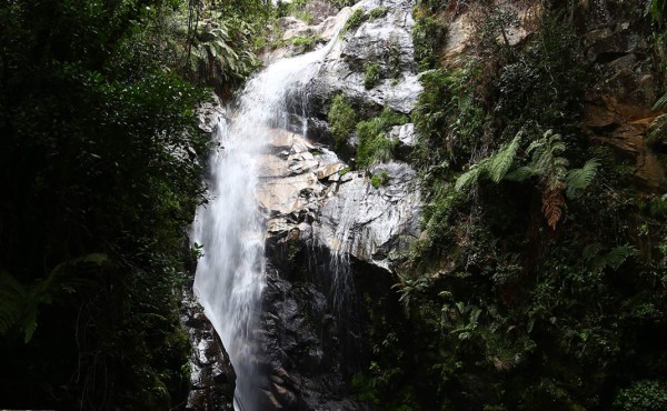 El Cusuco, un paradisiaco lugar en las faldas de El Merendón