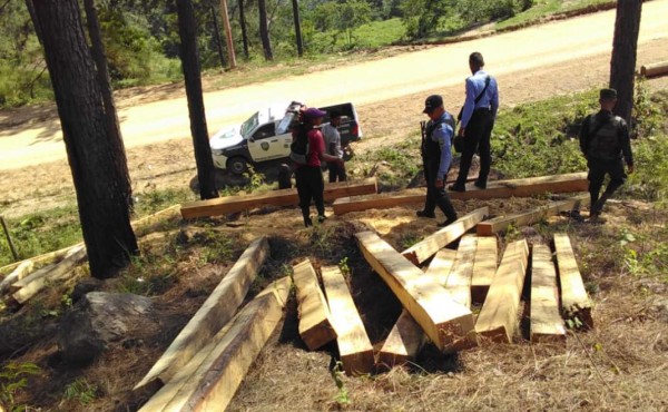 Detienen a tres hombres por tala de árboles en Yoro