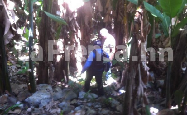 Policía Nacional rescata a un ganadero secuestrado en Tocoa